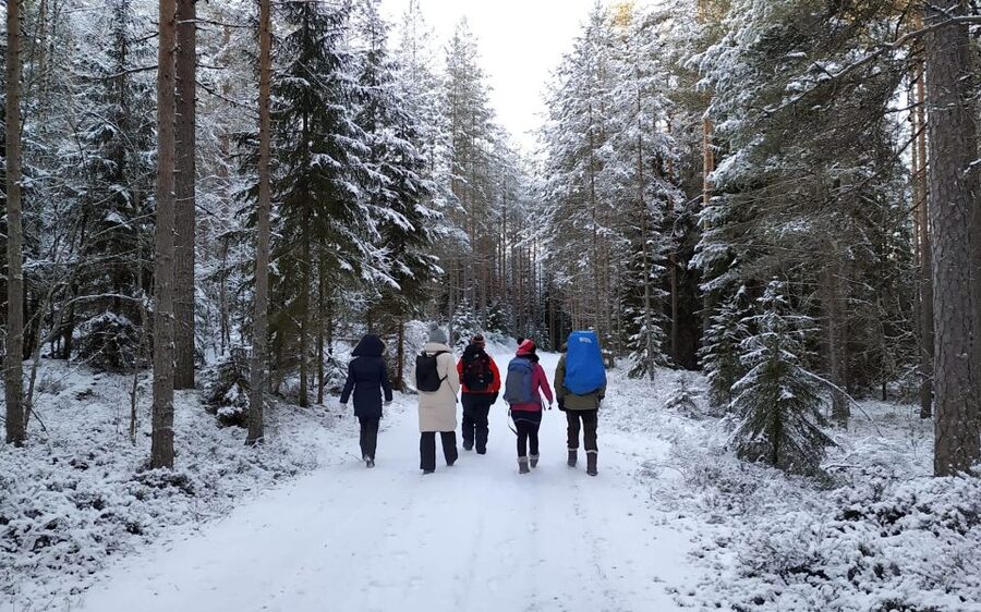Helsinki: Winter Wonderland Liesjärvi National Park Hike - When weather is bad, does the plan still work?