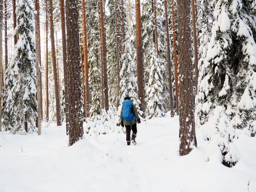 Helsinki: Winter Wonderland Liesjärvi National Park Hike - After lunch: a second walk through snow-covered spruces
