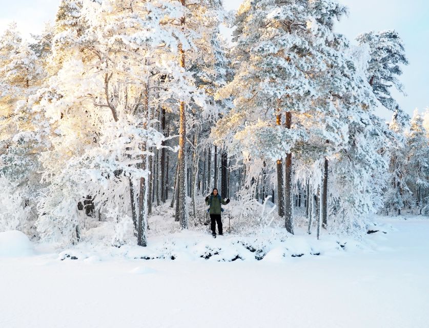 Helsinki: Winter Wonderland Liesjärvi National Park Hike - Who this Liesjärvi hike is best for, and who should skip it