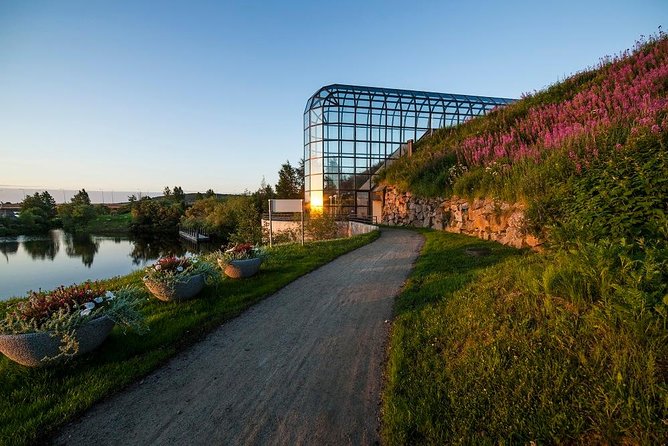 Highlights of Rovaniemi Day Tour - Summer - Price and value: why this costs $356.23 and what that buys