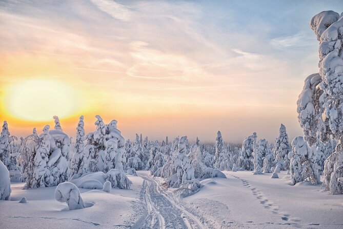Hike to Frozen Waterfalls of Korouoma Including BBQ Lunch from Rovaniemi - When lunch hits: bonfire BBQ, salmon soup, and blueberry tea
