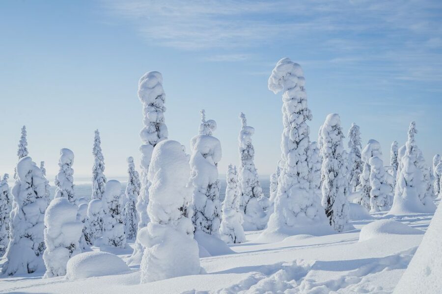 Hiking in Riisitunturi National Park with Photographer - From Rovaniemi to Riisitunturi: how the day is paced