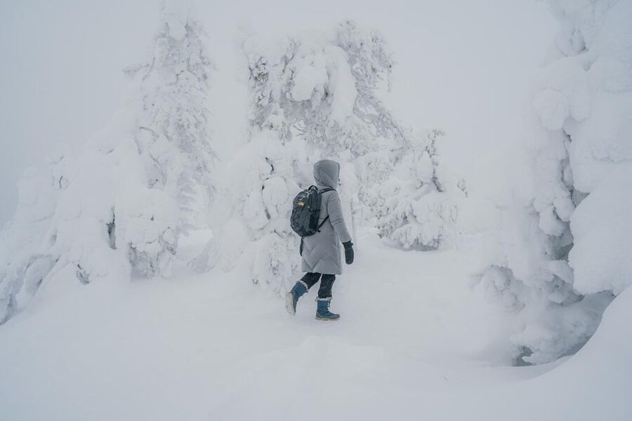 Hiking in Riisitunturi National Park with Photographer - The 5 km winter hike: pacing, photo stops, and what to watch for
