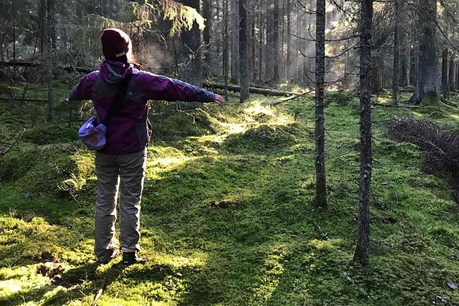 Hiking tour in Nuuksio National Park with meal and snacks - Key Things I’d Remember Before You Book