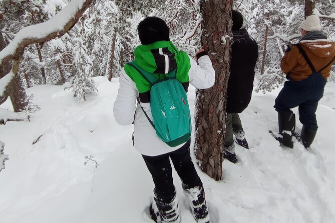 Hiking tour in Nuuksio National Park with meal and snacks - The 4.5-Hour Flow: Park Walk, Food Breaks, and a Warm Finale