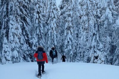 Hiking tour in Nuuksio National Park with meal and snacks