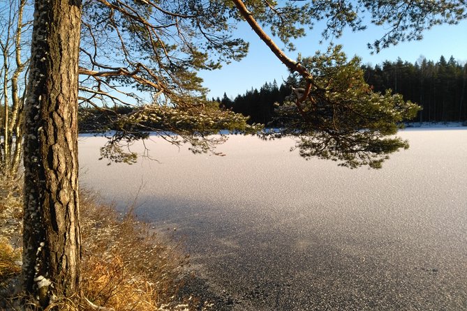 Hiking tour in Nuuksio National Park with meal and snacks - What You Learn on the Trail With David