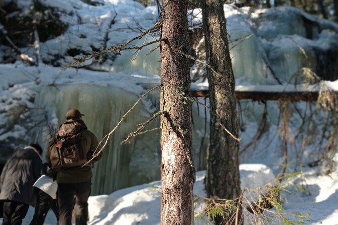 Hiking tour in Nuuksio National Park with meal and snacks - Footwear, Trail Conditions, and Weather Reality