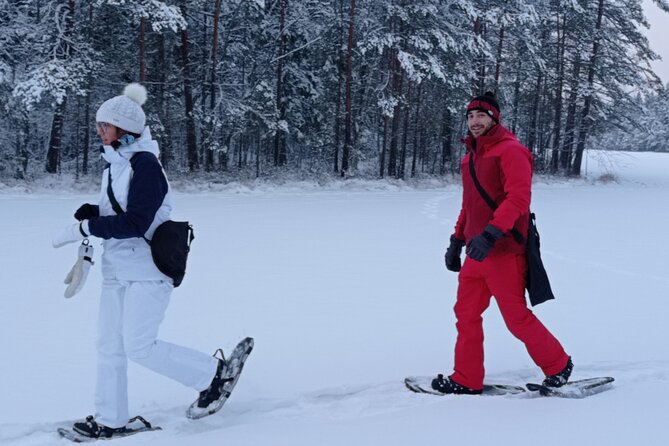 Hiking tour in Nuuksio National Park with meal and snacks - Who This Tour Suits Best (And Who Should Rethink It)