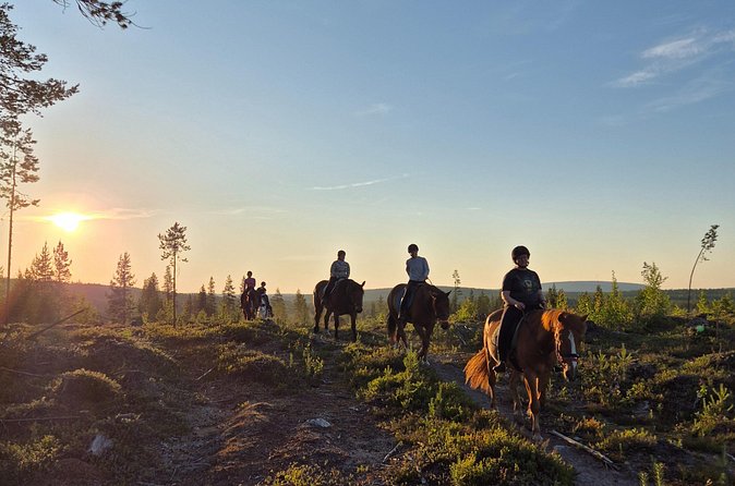 Horse Ride to the Hill Activity - Price and value: what $138.34 includes, and what you should add