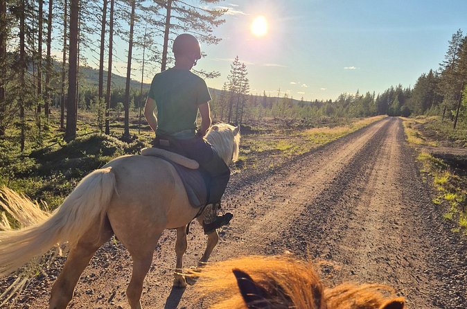 Horse Ride to the Hill Activity - Timing in Lapland: how weather and track change the hour on horseback