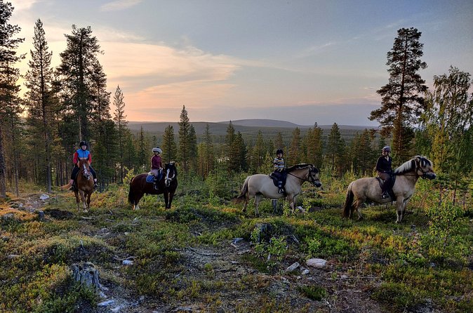 Horse Ride to the Hill Activity - Who this hill ride is best for in Rovaniemi