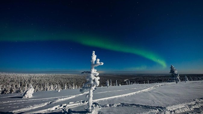 Hunting Northern Lights with Husky - Pacing, Waiting, and Why Some Nights Feel Rushed
