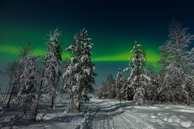 Hunting Northern Lights with Husky - Price and Value: What $275.90 Really Buys You