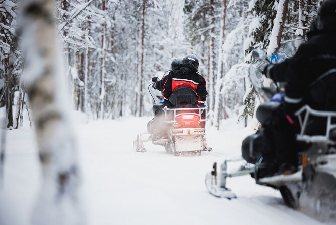 Husky and Reindeer Experience With Snowmobiling - Key Highlights Worth Getting Excited About