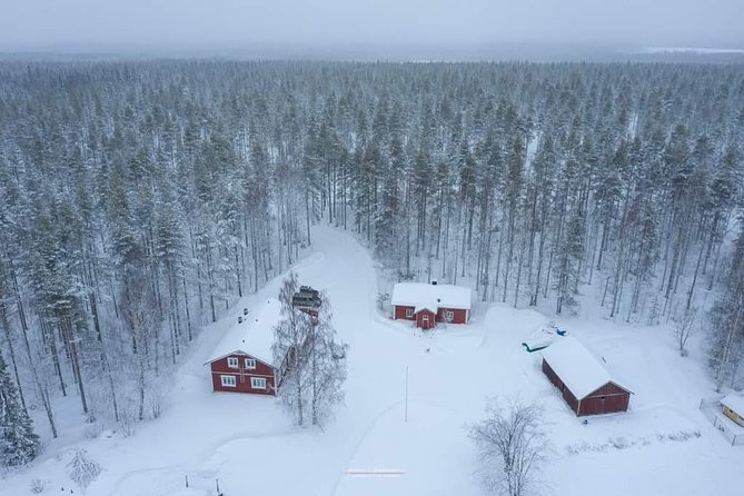 Husky safari - A private 30 minute sled run in Keminmaa, Finland