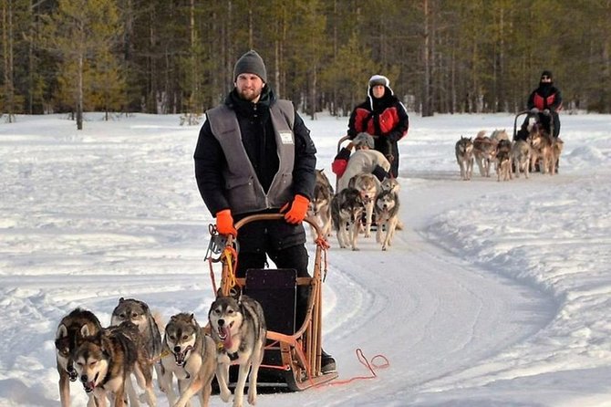 Husky Safari from Levi 2 KM or 5 KM with Husky Sledge Ride - Views and silence: why the short route can still feel special