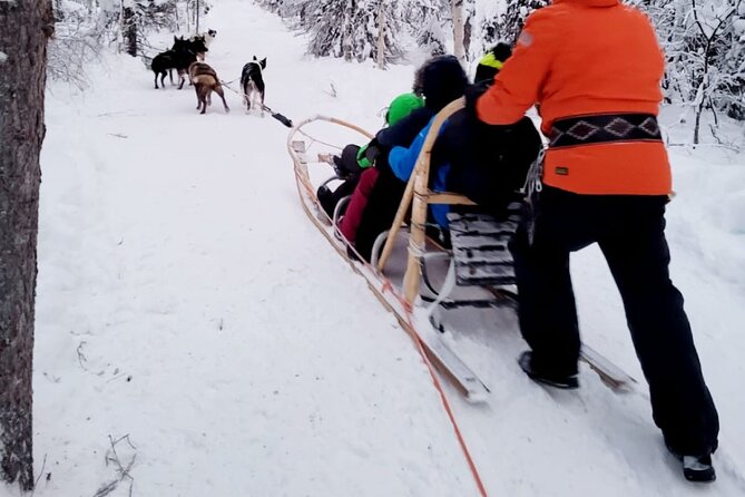 Husky Sledding Ride in Levi 5 KM - Kota Warm-Up: Hot Drinks, Cookies, and Dog Time