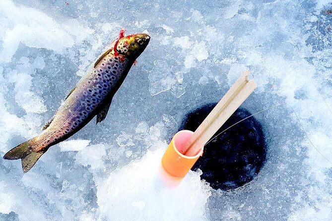 Ice Fishing Adventure in Levi with Salmon Soup - Campfire Comfort: Salmon Soup, Cookies, and a Heated Shelter