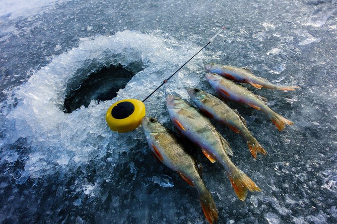 Ice Fishing and Husky - What Makes the Price Feel Fair (and Where It Might Not)