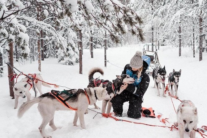 Ice Fishing and Husky - Pickup, Timing, and What Your Day Actually Looks Like