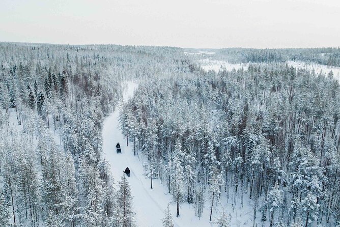 Ice Fishing and Snowmobile Safari Combo in Lapland - Safety, drivers license rules, and the 30-traveler reality