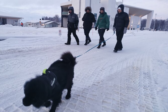 Icetrek to Old Kemi - Price and value: why this $57 tour can be a smart use of time