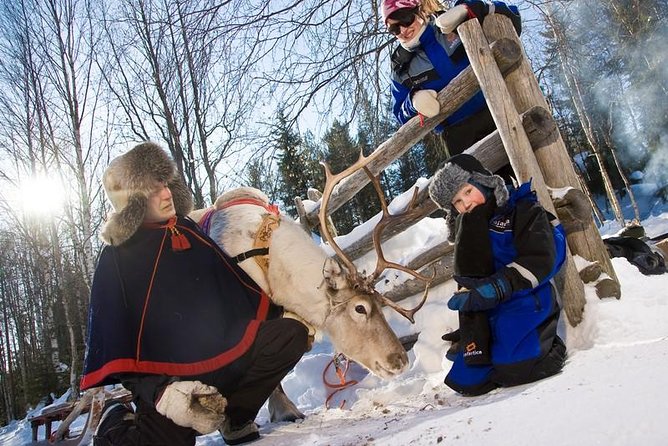 In Pursuit of Reindeer - Snowmobile safari to reindeer farm in Rovaniemi - Quick hits: Why this tour is a solid Rovaniemi option