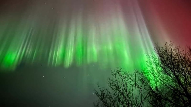 Inari/Ivalo: Aurora Hunting Tour by Car with Warm Drinks - What Makes This Aurora Hunt Different