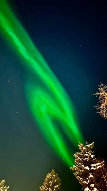 Inari/Ivalo: Aurora Hunting Tour by Car with Warm Drinks - How a 4-Hour Car Safari Actually Boosts Your Chances