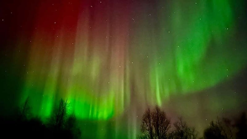 Inari/Ivalo: Aurora Hunting Tour by Car with Warm Drinks - What the Stops Feel Like on a Cold Lapland Night