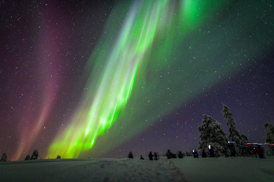 Inari: Northern Lights Hunt Snowmobile Safari - Snowmobile basics, taught before you go full dark