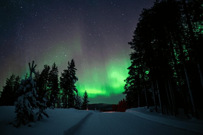 Ivalo: Aurora Hunting with Reindeer - Why An Aurora Hunt Tied to Reindeer Fences Makes Sense