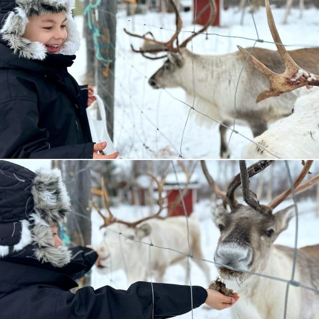 Ivalo: Ice Fishing Tour to Lake Inari, Reindeers & Lunch - Price and Value: Is $194 Worth It for 4 Hours?
