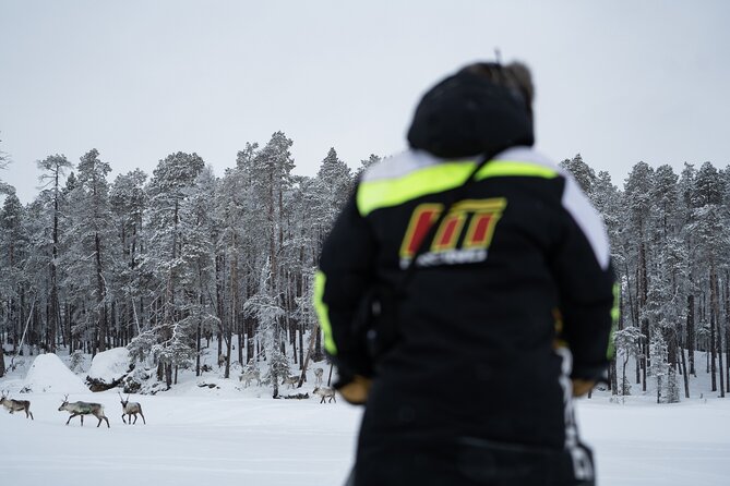 Ivalo: Reindeer herd and fishing experience - Why Ivalo Couples Reindeer Work With Winter Fishing