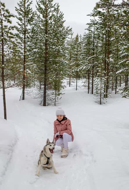 Ivalo - Saariselkä: Husky Walk in the Wilderness - After the Hike: Cuddles, Warm Drink, and a Cozy Lappish Reset