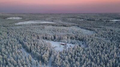 Sled Dog Husky Safari Including Hot Drink