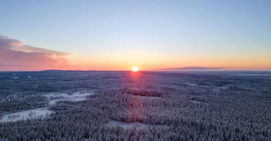 Kemi: Sled Dog Husky Safari Including Hot Drink - Price and Value in Kemi: Is It Worth $165?