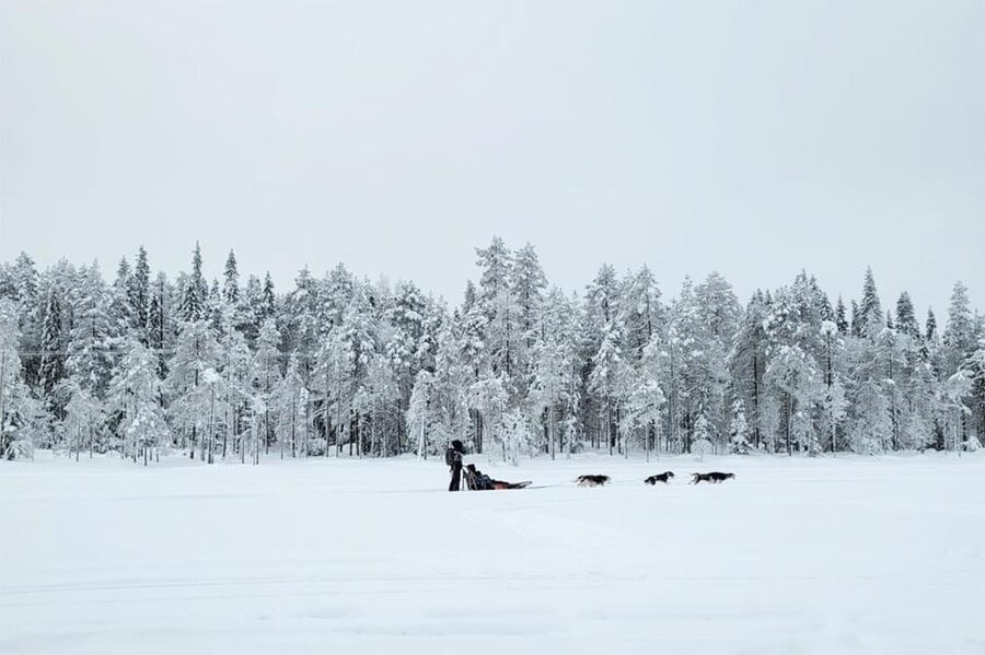 Kemi-Tornio: Husky Sled Ride with Hot Drink - Getting to Sea Lapland Safaris, and getting properly dressed