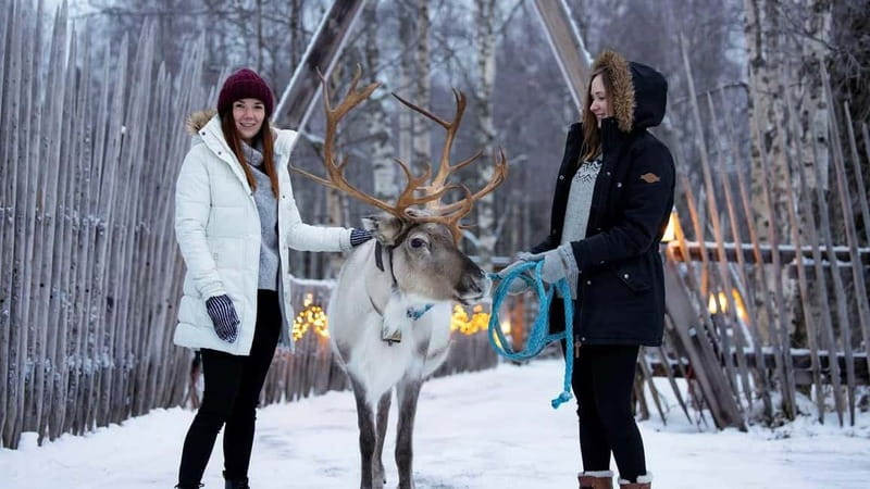 Kemi-Tornio: Reindeer farm experience - Kemi-Tornio Reindeer Farm: why this short outing hits
