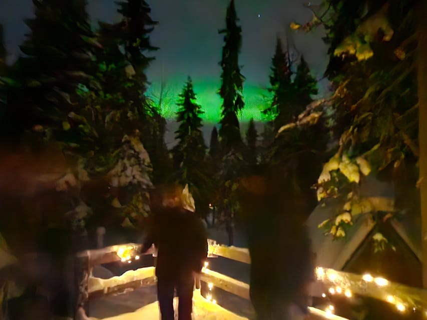 Kemi-Tornio: Starguaranteed Northern Lights Auroras - Price and value: is $116 per person worth it?