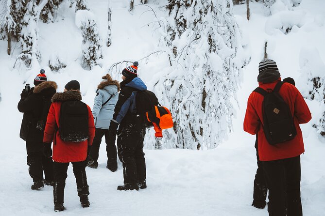 Korouoma Canyon Frozen Waterfalls - Who should book Korouoma, and who might skip it