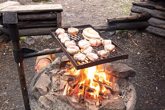 Korouoma Canyon: Frozen Waterfalls Hike & BBQ Experience - BBQ in the canyon: food that actually fits a cold day