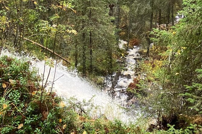 Korouoma Canyon: Frozen Waterfalls Hike & BBQ Experience - What to wear and bring for icy footing