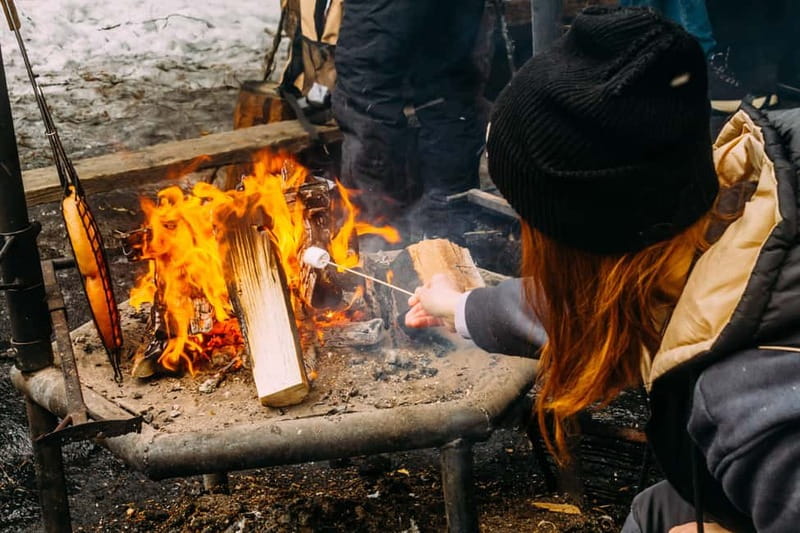 Korouoma Canyon: Frozen Waterfalls Hike & BBQ Experience - Learning With the Guide: Forest, Wildlife, and Local Customs, Explained