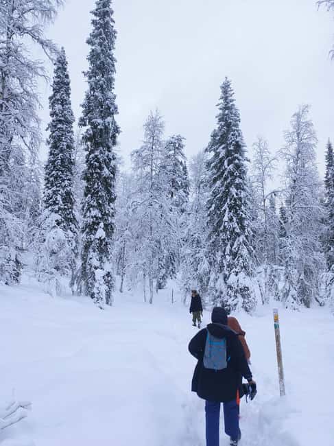 Korouoma Canyon Frozen Waterfalls Hike & Private Teepee BBQ - Korouoma Frozen Waterfalls: What Makes This Hike Special