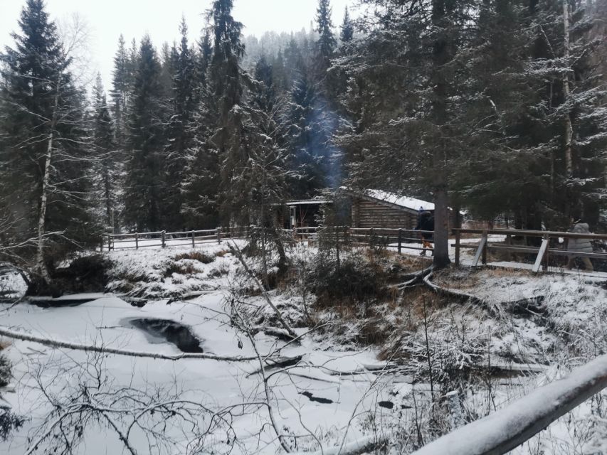 Korouoma Canyon Frozen Waterfalls Hike & Private Teepee BBQ - Wildlife Spotting in Lapland, Without the Fantasy