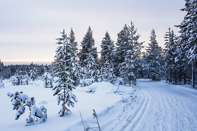 Korouoma Canyon Snowshoe Trip - Fire-cooked lunch and the winter comfort you actually need