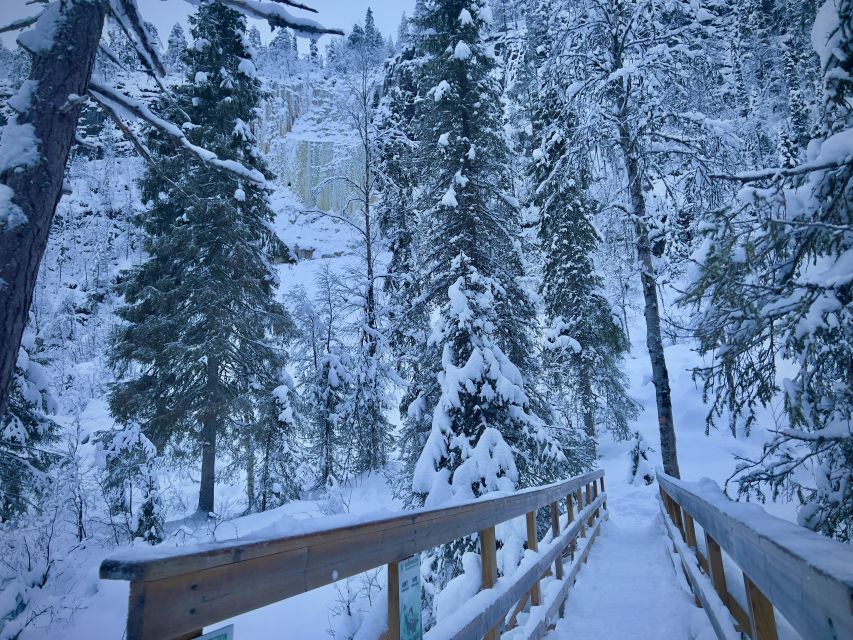 Korouoma: Frozen Waterfall Hiking Tour - Key highlights you should care about