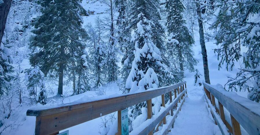 Korouoma: Frozen Waterfall Hiking Tour - Why Korouoma Frozen Waterfalls feels so special in winter